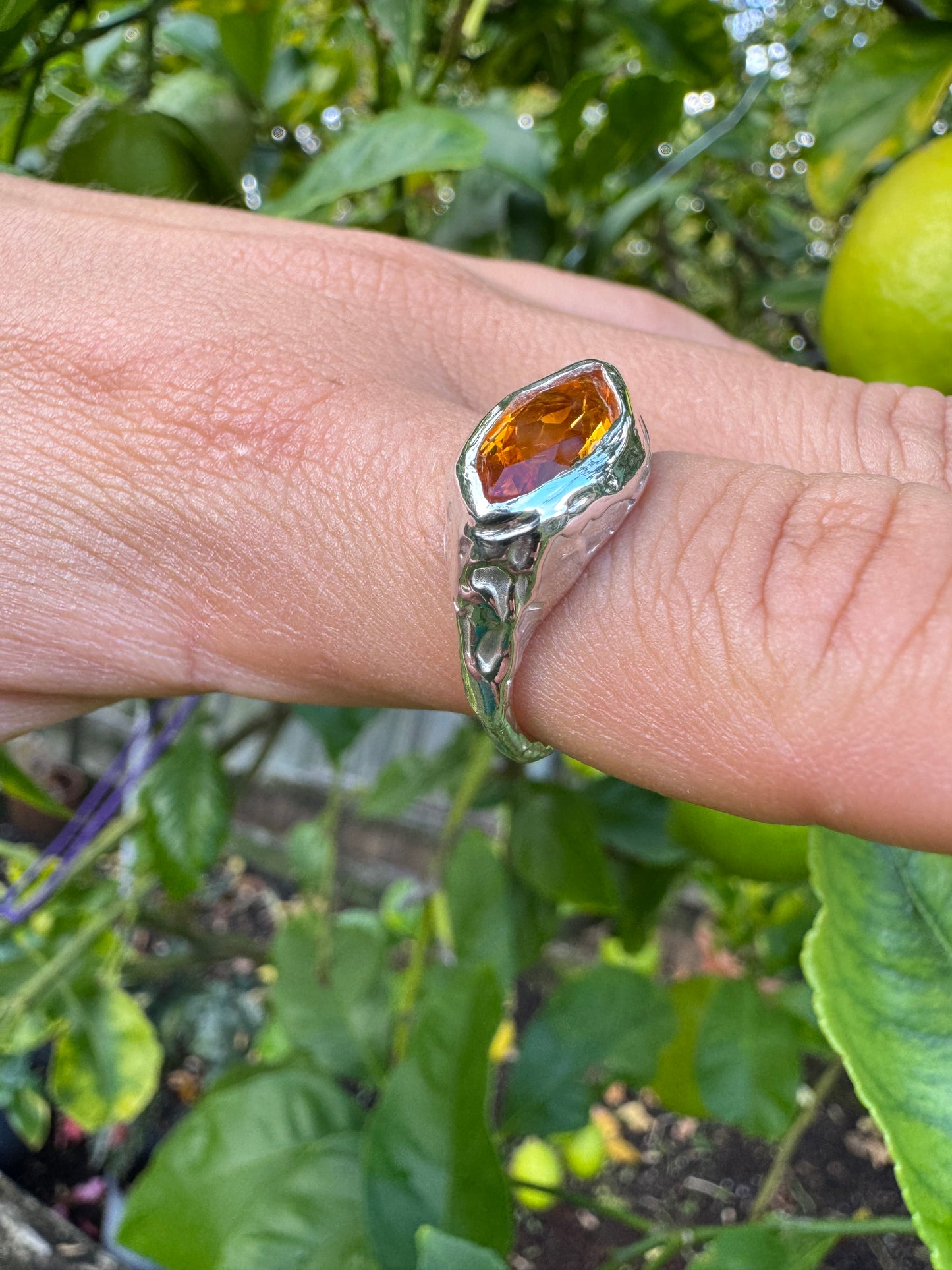 Citrus