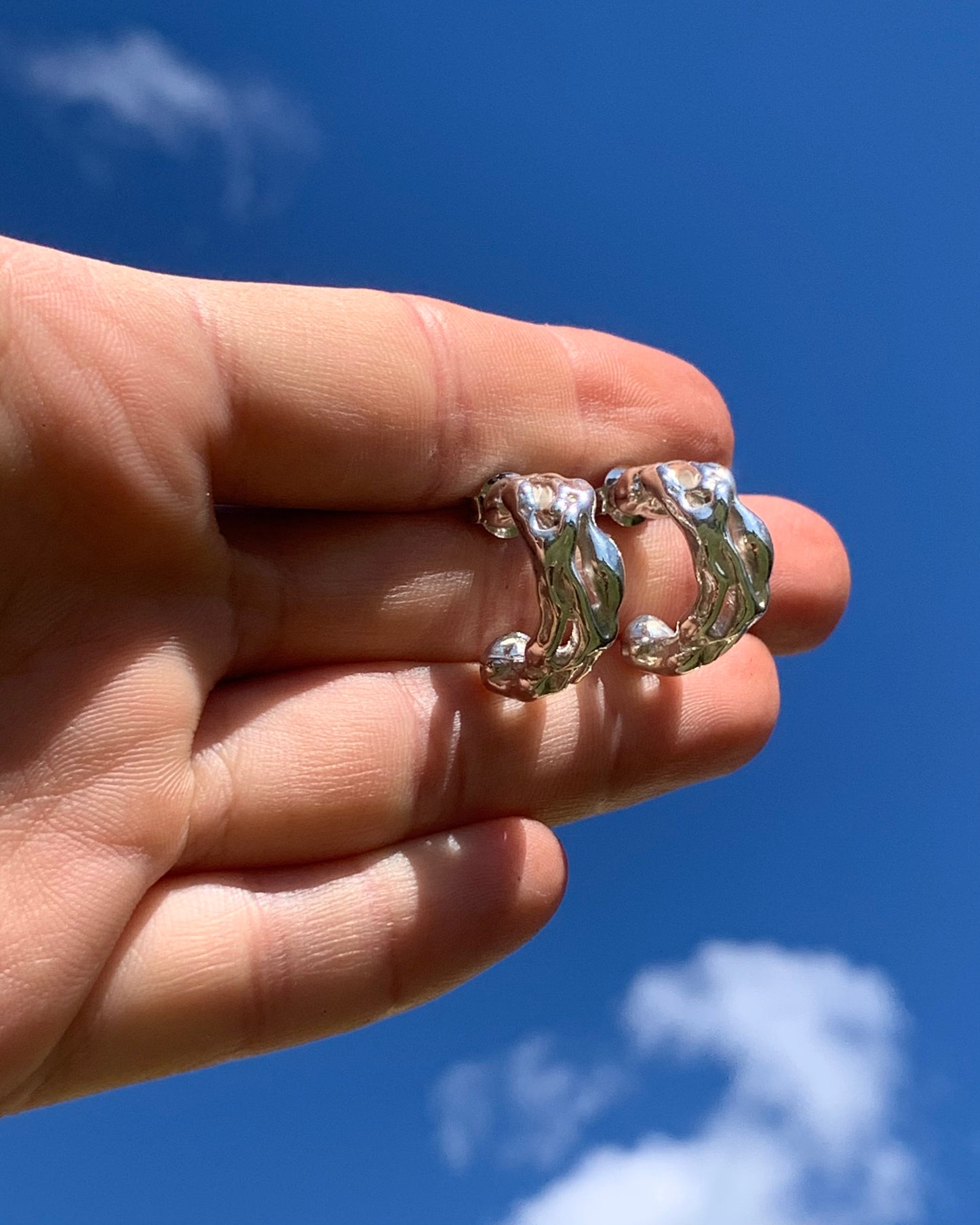 Branch Tunnel Hoops